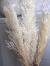 Load image into Gallery viewer, Pampas Grass
