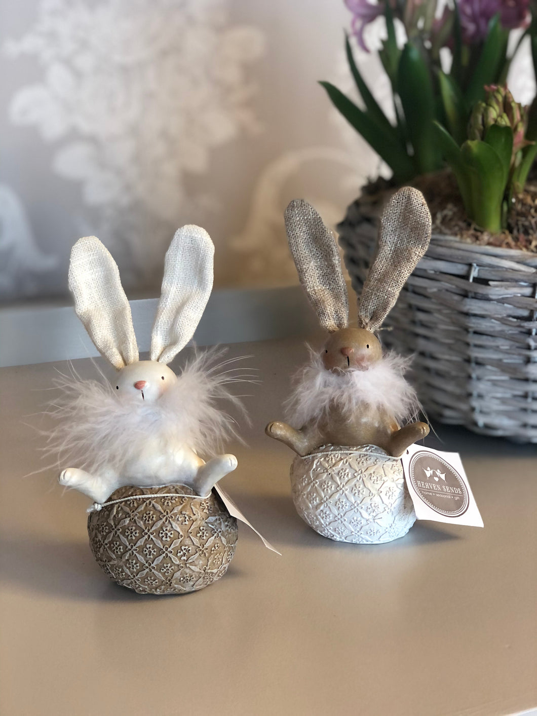 Rabbit Sitting On Egg