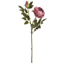 Load image into Gallery viewer, Dusky Pink Rose Peony
